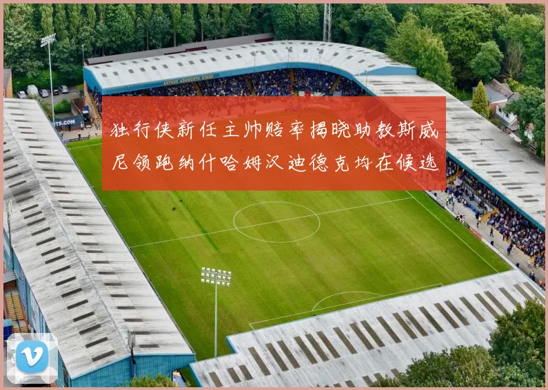 独行侠新任主帅赔率揭晓助教斯威尼领跑纳什哈姆汉迪德克均在候选之中
