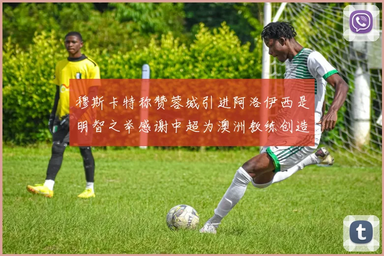 穆斯卡特称赞蓉城引进阿洛伊西是明智之举感谢中超为澳洲教练创造机会