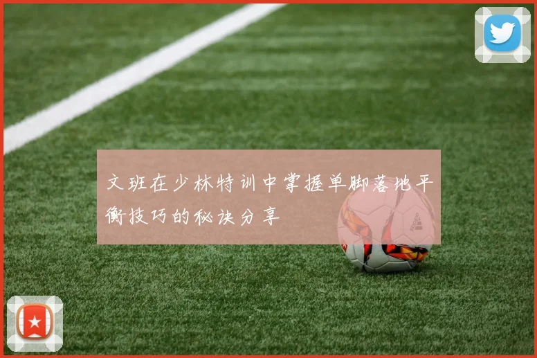 文班在少林特训中掌握单脚落地平衡技巧的秘诀分享