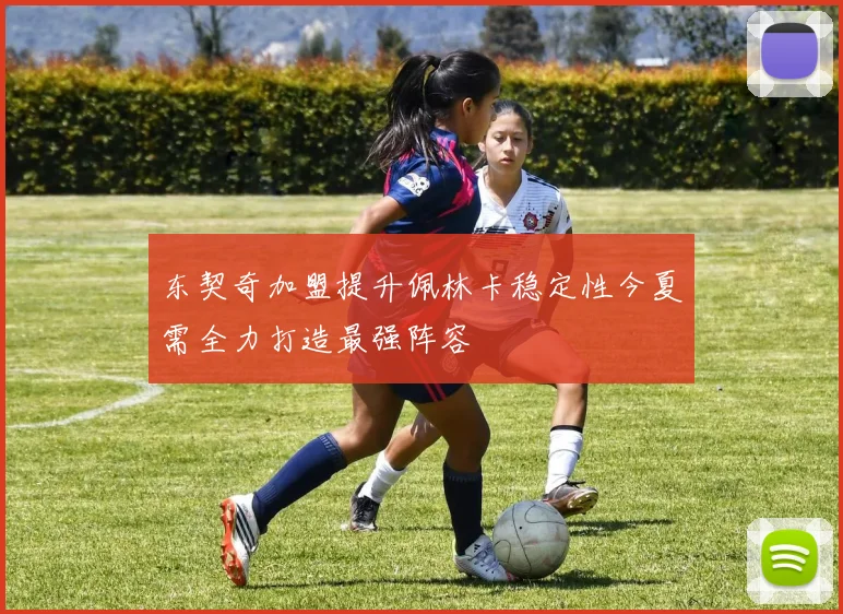东契奇加盟提升佩林卡稳定性今夏需全力打造最强阵容